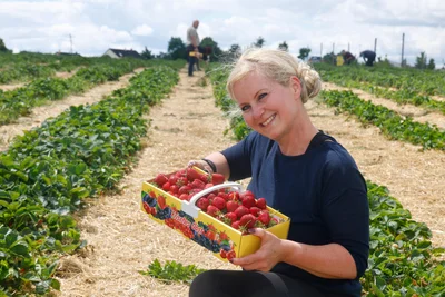 Isabell Schröter aus Remse hat ihren Erdbeerkorb in knapp zehn Minuten gefüllt.