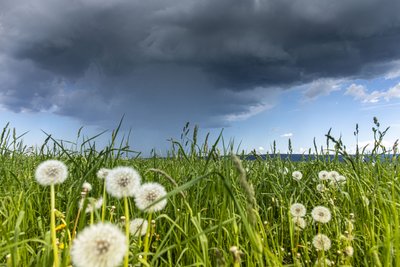 Gewitterzelle bei Grumbach, fotografiert von Annaberg-Buchholz