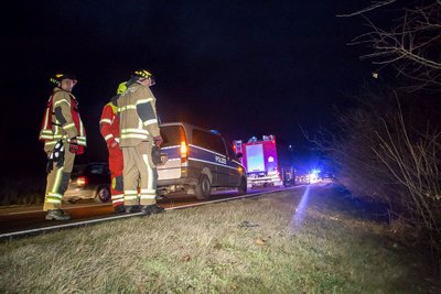 Der Fahrer konnte dem Wildschwein nicht rechtzeitig ausweichen.
