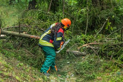 Allein im Zwönitzer Ortsteil Kühnhaide hatte die Feuerwehr mehr als zehn Einsatzstellen. Unter anderem mussten umgestürzte Bäume zersägt werden – wie hier an der Zwönitzer Straße.