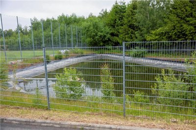 Eigentlich gibt es einen hohen Zaun, aber für den Einlauf existiert ein Loch, durch das die Tiere schlüpfen. 