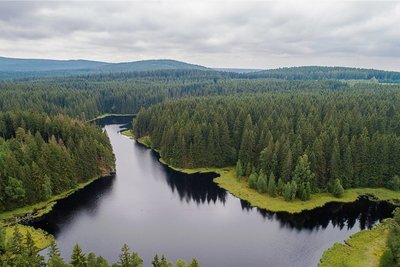 Der Vogtlandsee, auch Moorteich genannt, ein in der 1930er-Jahren angelegter Stausee im Wald zwischen Grünheide und Beerheide, wird aus den umliegenden Mooren mit Wasser gespeist.