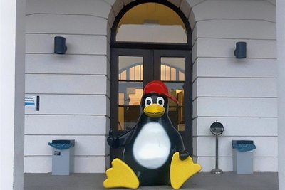 Die Pinguin-Figur aus dem Mittweidaer Freibad wurde von Unbekannten vor den Eingang der Hochschule platziert.