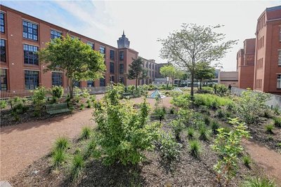 Dachgrün wie auf dem Wirkbau wird von der Stadt Chemnitz unter bestimmten Voraussetzungen gefördert.