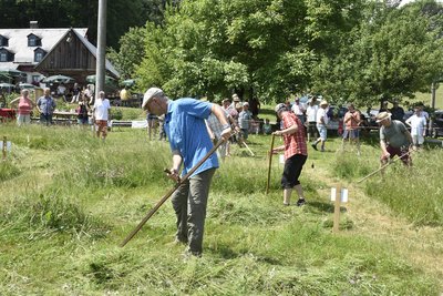 Sensenmähen gehört traditionell zum Obstwiesensommer auf dem Riedelhof Eubabrunn.