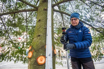 Für die Messung am Fuß des Baumes wird ein Prismastab eingesetzt, hier von Detlef Wuttke persönlich.