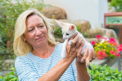 Gestatten? Filou heißt der kleine Fennek, der am Mittwoch im Auer Zoo der Minis der Öffentlichkeit präsentiert wurde.