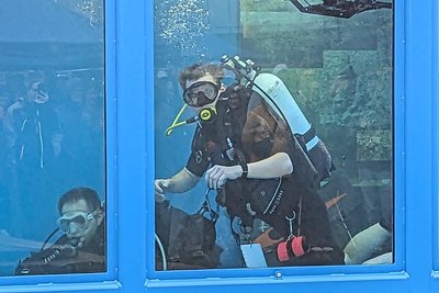 Wissenschaftstaucher zeigten, wie Forschung unter Wasser funktioniert.