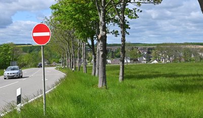 An der Reitzenhainer Straße in Mühlau sollen auf einem Wiesengrundstück bald Eigenheime gebaut werden. 