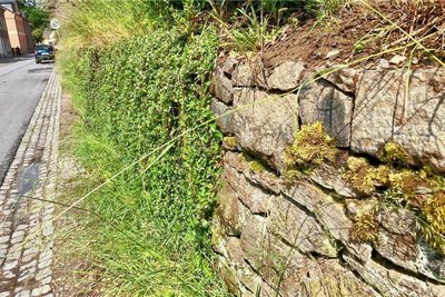 Die Stützmauer an der Bockauer Straße in Aue stützt die „Bergfreiheit“. Aber wie lange noch? Das Bauwerk weist erhebliche Schäden auf.