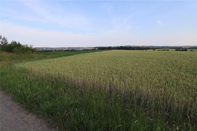 Die Fläche auf der Schmohlhöhe nahe Hilbersdorf ist für mögliche Photovoltaikanlagen vorgesehen.