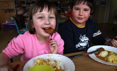 
              <p class="artikelinhalt">Kim (links) und Marius schmeckt es. Am Dienstag standen Hähnchennuggets mit Kartoffeln und Blumenkohl auf dem Speiseplan in der Kindertagesstätte in Niederlauterstein. </p>
            