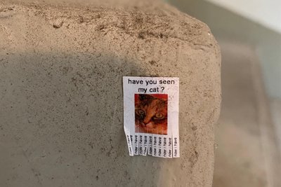 Geht Kunst noch kleiner? Ein Suchzettel im Briefmarkenformat an einer Treppenstufe, von Künstler Schmii aus Leipzig.