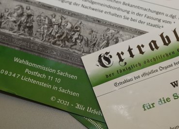 Solche und ähnliche Plakate sind in Limbach-Oberfrohna aufgetaucht und sorgen für Unmut. Aber längst nicht nur dort.