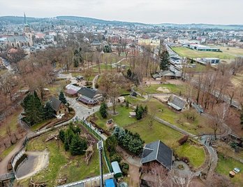 Mitten in der Stadt gelegen: der Tiergarten Falkenstein, der vor 70 Jahren gegründet wurde.