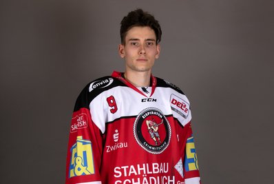 Verlässt die Eispiraten: Filip Reisnecker.