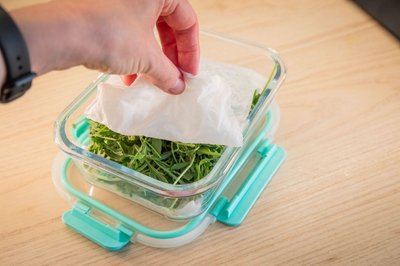Schritt 4: Den Rucola mit dem feuchten Küchenpapier abdecken.