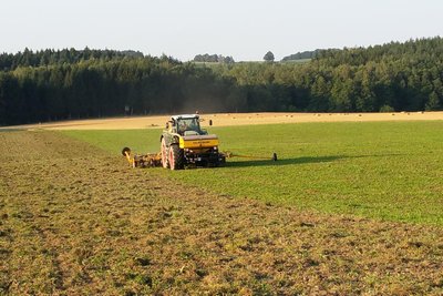 Bei landwirtschaftlichen Flächen gibt es zahlreiche Probleme mit der neuen Grundsteuer.