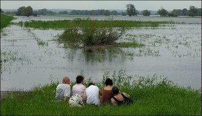 Das Hochwasser an der Oder hat in der Nacht an weiteren Stellen in Brandenburg die Grenzwerte für die Alarmstufe eins überschritten. Wie das Landesumweltamt Brandenburg mitteilte, lag der Wasserstand am Pegel Ratzdorf am Morgen um fünf Zentimeter über dem Grenzwert, am Pegel Stützkow um 24 Zentimeter.