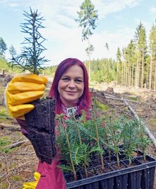 Elisabeth Voigtländer zeigt die Weißtannen-Setzlinge, die ins Sternmühlental gepflanzt wurden.