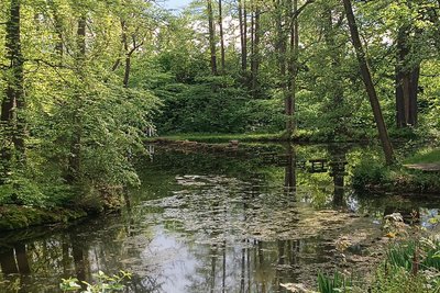 Der Park am Rittergut bietet nicht nur farbenprächtige Bäume und Büsche, sondern auch romantische Ecken.