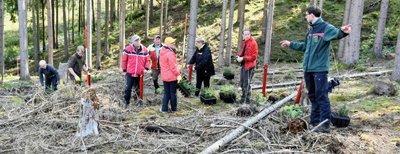 Im Sternmühlental haben die Frühjahrsstürme erheblichen Schaden im Forst angerichtet. Bei einer Pflanzaktion hat Revierleiter Alexander Wagner (vorn rechts) den Teilnehmern die Pflanzrichtung vorgegeben. 