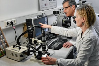 Projektleiter Khaled Al Hamdan wertet mit Laborantin Yvette Barthel im Institut für Glas und Glastechnologie Messwerte aus. 