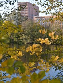 Der Neubau des Bibliothek- und Hörsaalzentrums der TU Bergakademie Freiberg - hier mit Blick über den Schlüsselteich - soll mit Beginn des Herbstsemesters 2022 eingeweiht werden. Im Inneren sind die Ausbauarbeiten in vollem Gange. 