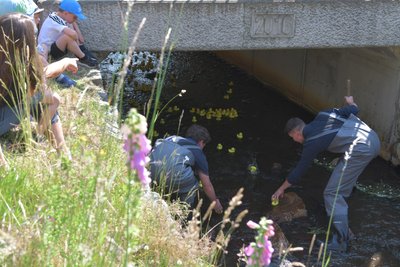 Alle meine Entchen – schwimmen auf dem Münzbach in Langenrinne.