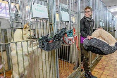 Eine von vier Tierpflegerinnen im Heim: Vanessa Haasper bei der Arbeit im Hundezwinger.