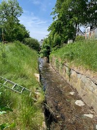 Der Uferbereich des Oberreichenbacher Bachs wurde von Wildwuchs befreit. 