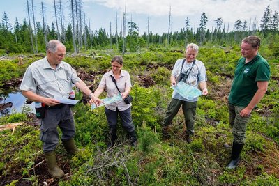 Stephan Schusser vom Forst, Annette Hübner vom Landesamt für Umwelt, Landwirtschaft und Geologie, Vogelkundler Michael Thoß und Henrik Lindner von der Schutzgemeinschaft Deutscher Wald (v. l.) im Moor. 