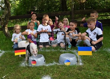 Den ersten Tipp hat Joe abgegeben - beim Spiel Deutschland gegen die Ukraine, sieht das Schweinchen Deutschland als Sieger.
