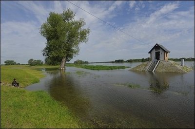 Angesichts des Oder-Hochwassers wurde in Brandenburg für weite Abschnitte des Flusses die erste von vier Alarmstufen ausgerufen. Das Foto zeigt das von Wasser umspülte Messhäuschen in Ratzdorf.