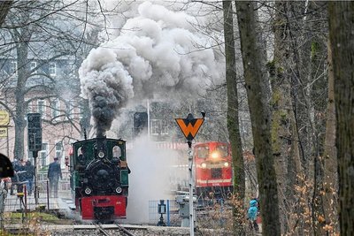 Die Parkeisenbahn im Küchwald fährt am Sonntag bis etwa 22 Uhr. 