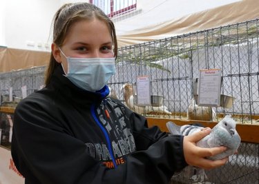 Obwohl Alexa Loos (12) zu den jüngsten Teilnehmern gehörte, wurde ihre Luzerner Taube als "Vorzüglich" eingestuft. 