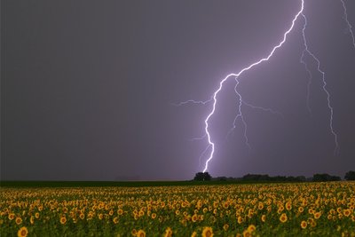 Über das Erzgebirge sind am Dienstag heftige Gewitter gezogen. Noch bis zum späten Nachmittag galt eine Unwetterwarnung des Deutschen Wetterdienstes.
