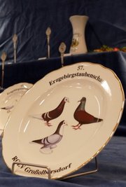 Für die Züchter mit den höchsten Punktzahlen gab es schicke Preise.