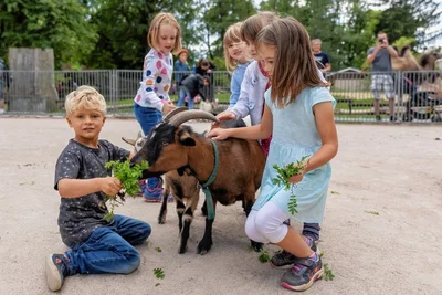Gehört für die meisten Kinder zu den Höhepunkten ihres Tierparkbesuchs: ein Abstecher ins Streichelgehege. Rosalie, Mara, Erik und ihre Freunde füttern eine Ziege.