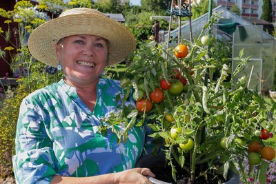 Im Schützenhaus gibt es wieder Saatgutbörsen mit Tomatenqueen Swetlana Hüttner.