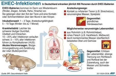 Der EHEC-Erreger kann blutigen Durchfall und bei schweren Verläufen das sogenannte hämolytisch-urämische Syndrom (HUS) verursachsen. Bei HUS kann es zu akutem Nierenversagen kommen.