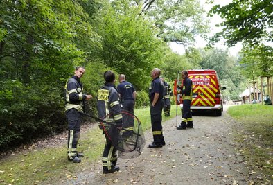 Die Feuerwehr rückte aus, entdeckte das Tier jedoch nicht.