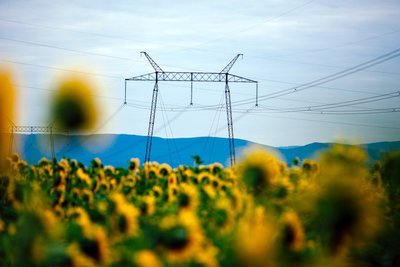Strommasten ragen über ein Sonnenblumenfeld im ukrainischen Rajon Mukatschewe im Oblast Transkarpatien.