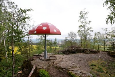 Rund um Gelenau lohnt sich eine Wanderung. Der Rastplatz am Fliegenpilz im Wald ist perfekt für eine Rast.
