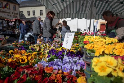 Blumen sind nur ein Teil des Angebots auf dem Markt jeden ersten Samstag im Monat.