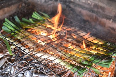 Auf offenem Feuer dürfen die Zwiebeln äußerlich verkohlen.