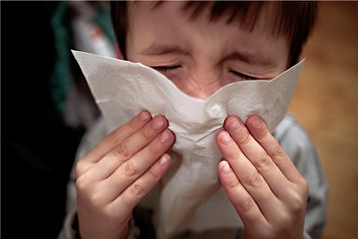 Gesundheit! Egal, welche Viren ihn auslösen: Ein Schnupfen ist immer lästig. 