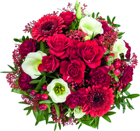 Rote Rosen