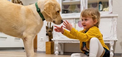 Eleanor und Lou sind bereits ein Herz und eine Seele. Nach der Assistenzhundeausbildung soll der Labrador Retriever beispielsweise frühzeitig erkennen können, wann sich bei der Vierjährigen ein Zuckerschock anbahnt. 