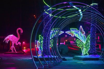 Bis 1. März 2026 werden die Besucher des Parks der Millionen Lichter im Orientarium in eine Welt voller magischer Kreaturen und Märchen entführt.